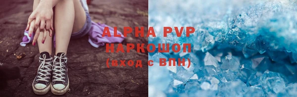 спиды Богданович