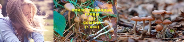 ешки Богородицк