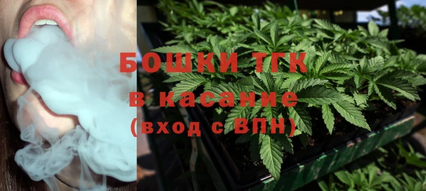 спиды Богданович