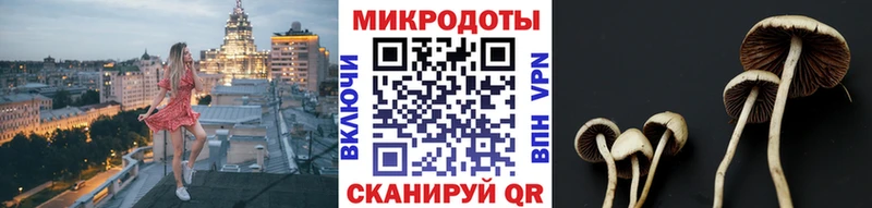 Купить  Кумертау  Псилоцибиновые грибы прущие грибы 
